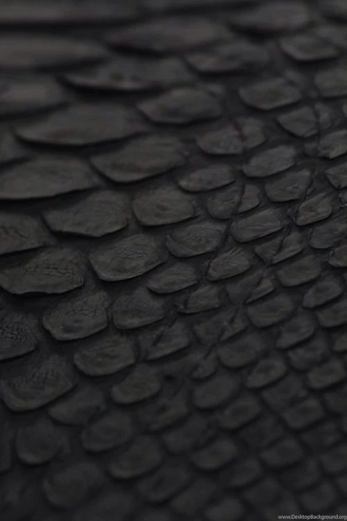 Black Scales