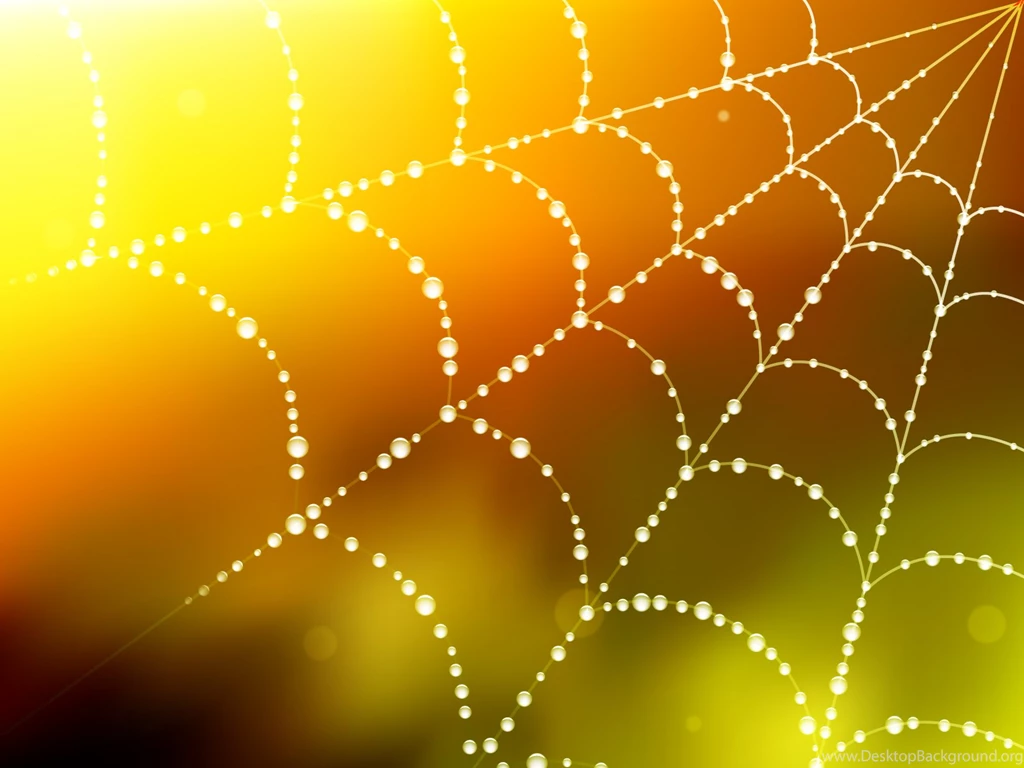 Spider Backgrounds PPT Backgrounds