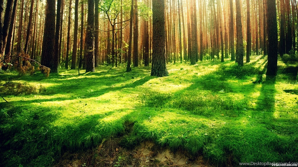 Desktop Wallpapers Nature HD Widescreen Wallpapers