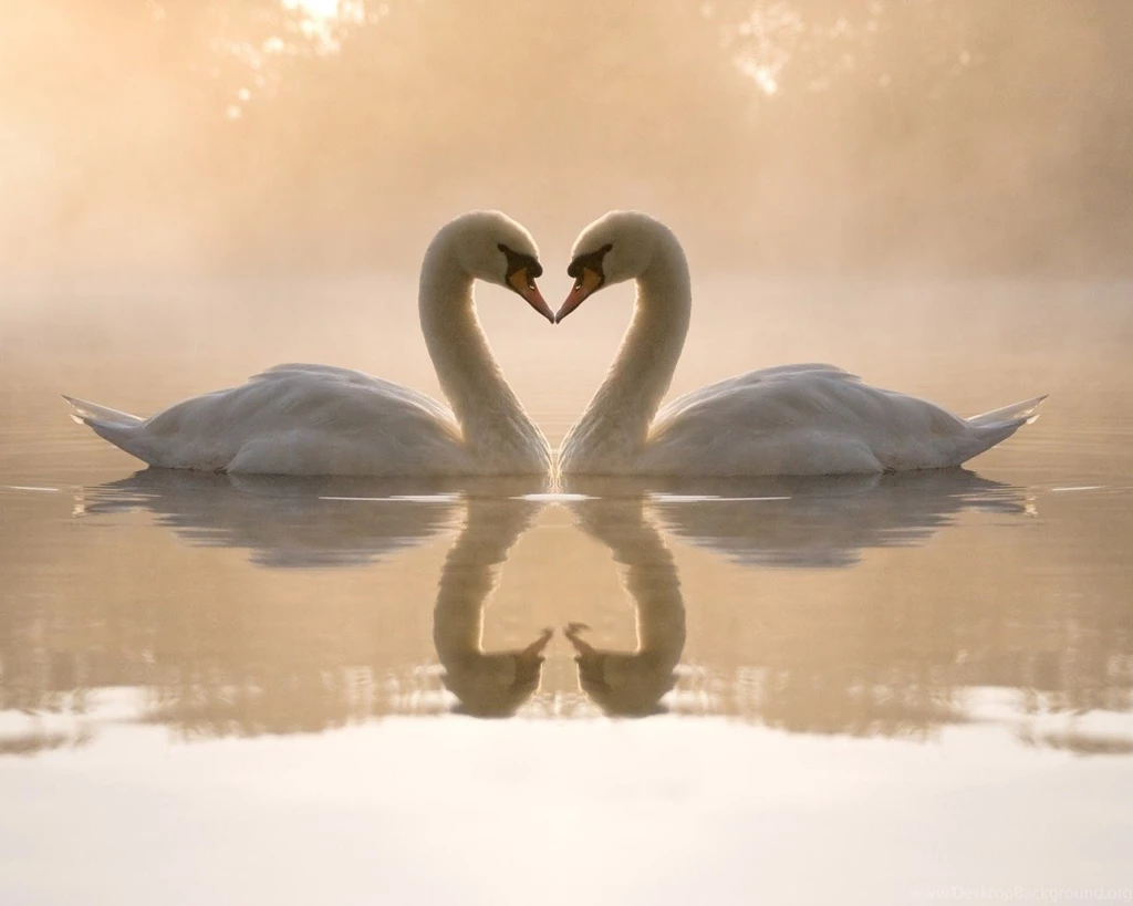 Cute Love Wallpapers For Desktop 16 Wide Wallpapers Hdlovewall.com