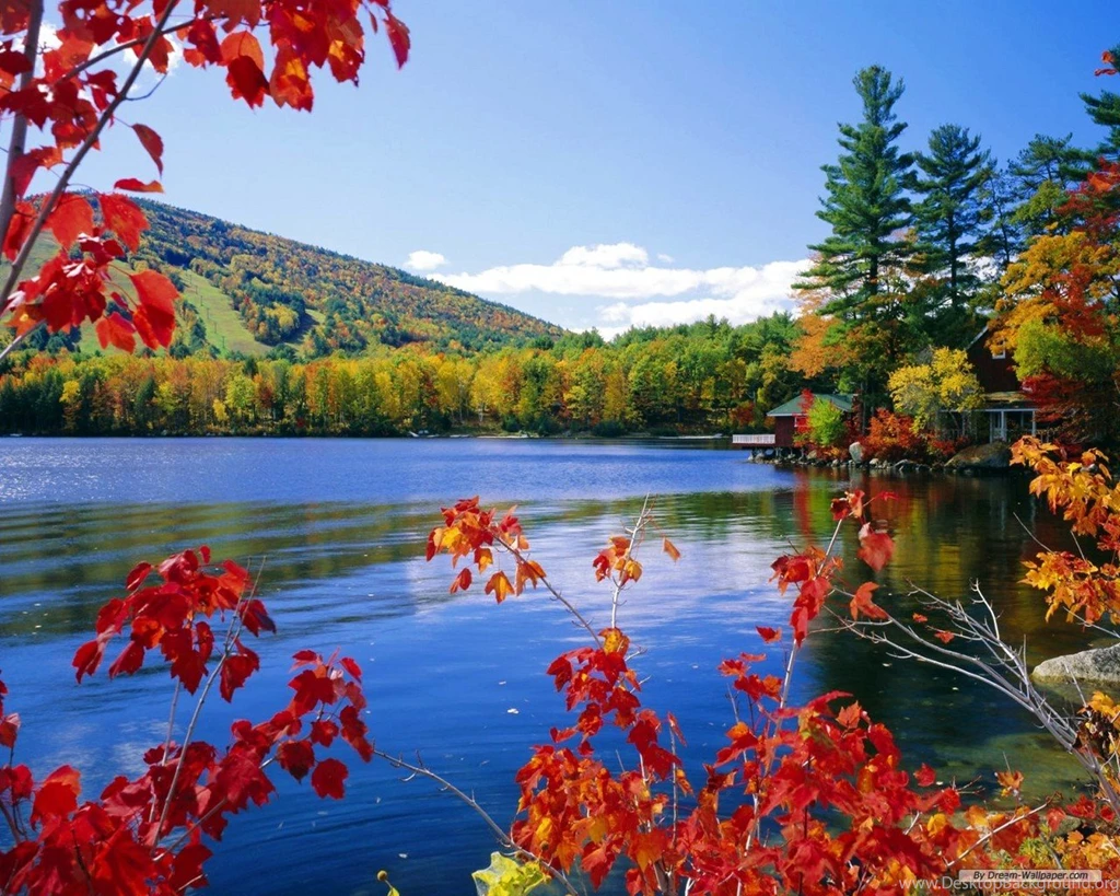 Wallpapers Nature Of Thrisha Free Hd Landscape 1280x1024