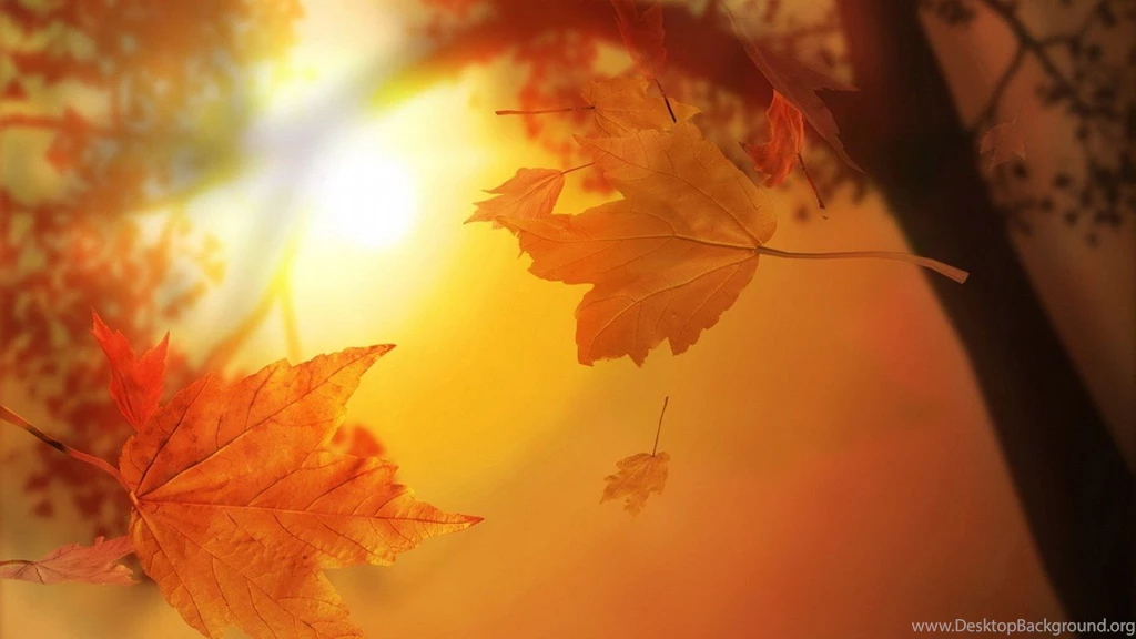 Autumn Forest Streams 50208 Autumn Theme Landscape Scenery