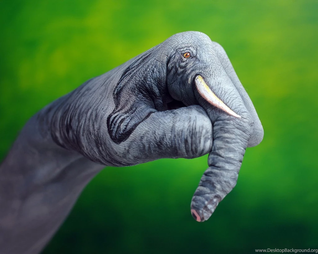 Animal Planet Wallpapers