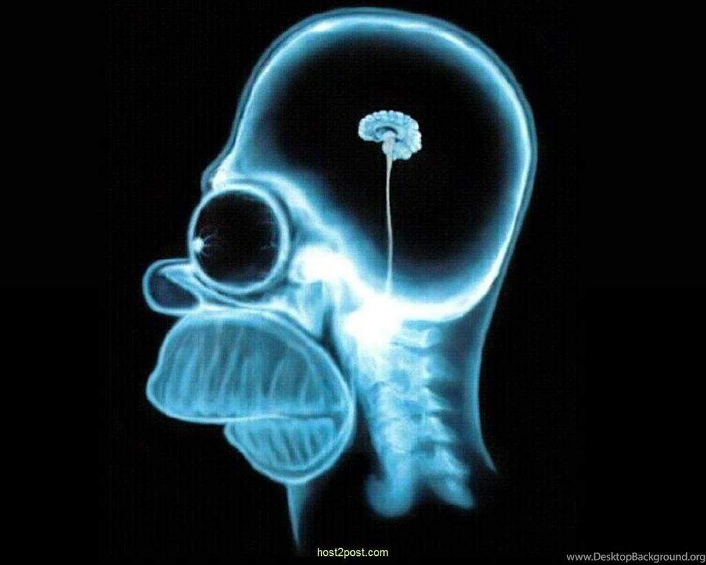 Simpsons Apple Wallpapers Wallpapers Cave