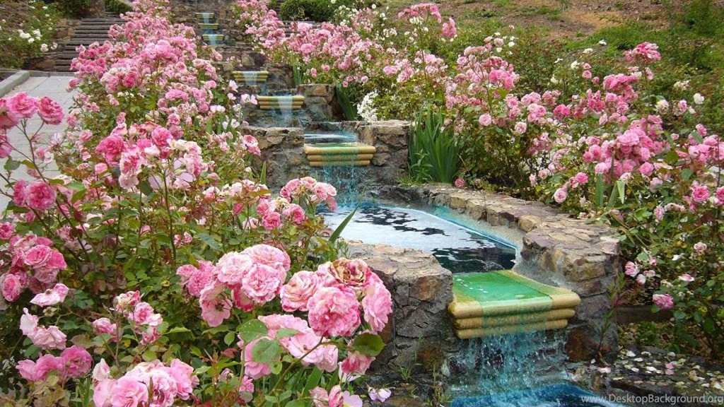 Cascades In The Rose Garden (