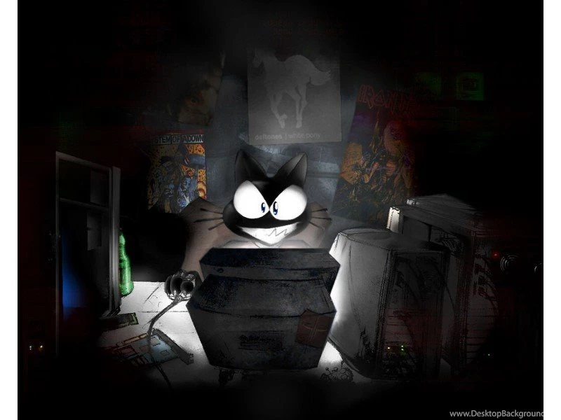 Wallpapers Hacker Hd The Unix Funny Cat Photos For 800x600 ...