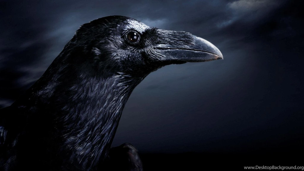 The Raven HD Desktop Wallpapers : Widescreen : High Definition ...
