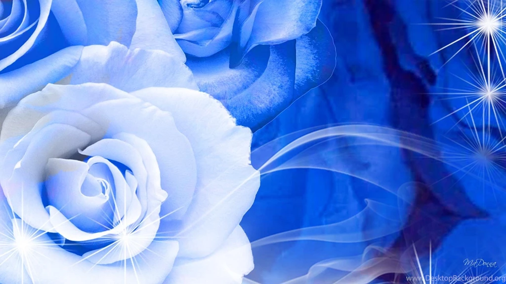 Blue Rose Wallpapers >> Backgrounds With Quality HD