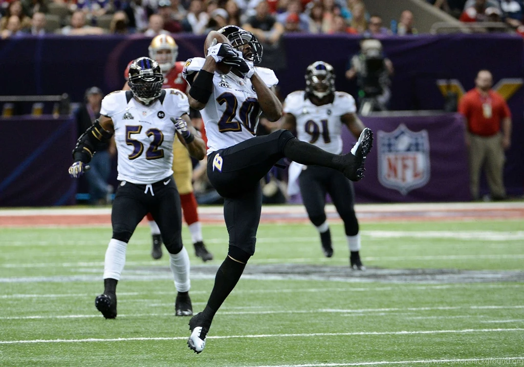 Ed Reed Wallpapers Wallpapers Cave