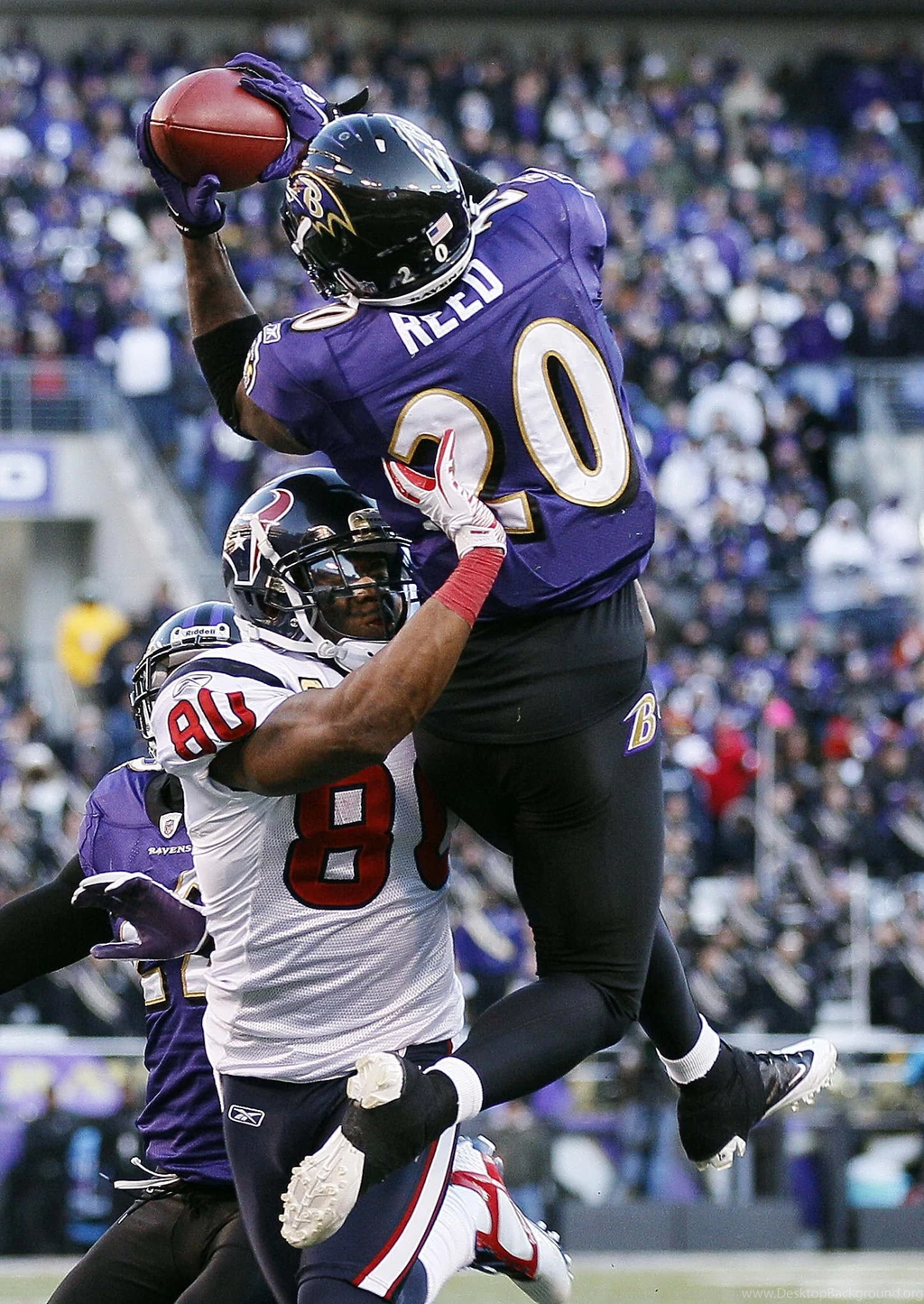 Ed Reed Images