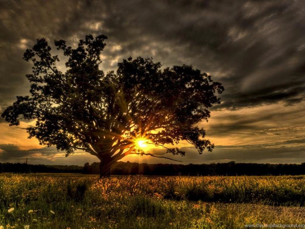 Beauty For Ashes… And The Advent Of Christ