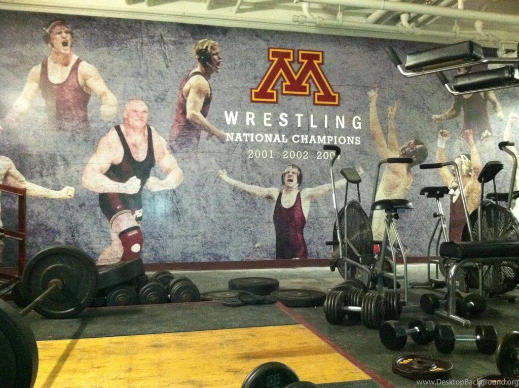 GOPHERSPORTS.COM :: BLOG :: University Of Minnesota Official ...