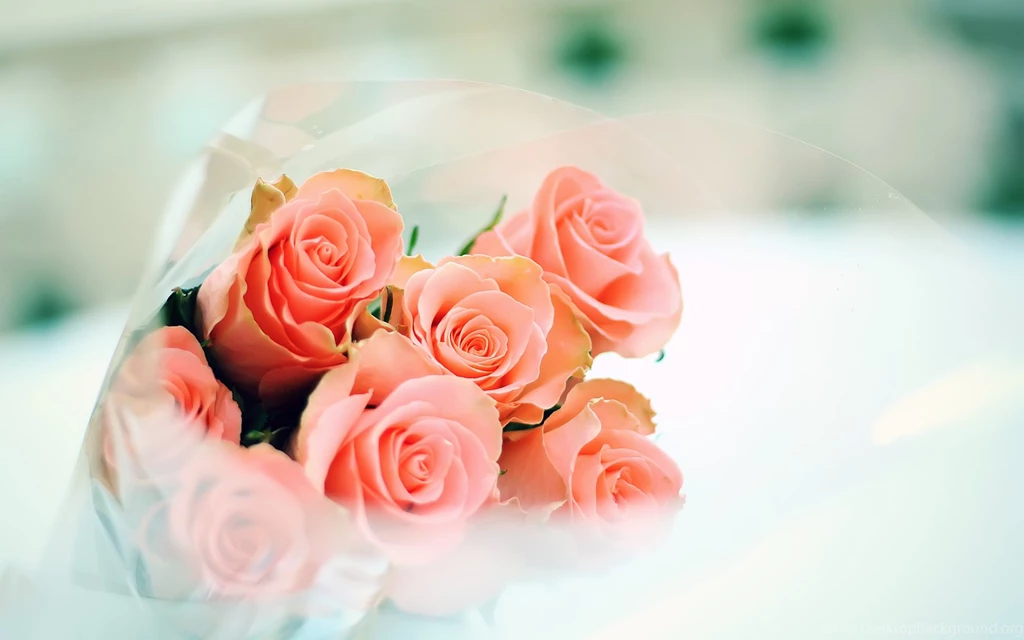 Cute Rose Bouquet Wallpapers 1680x1050 922493