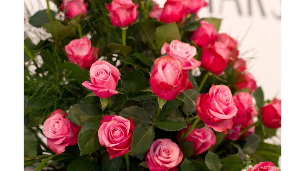 Cute 4K Roses Wallpapers