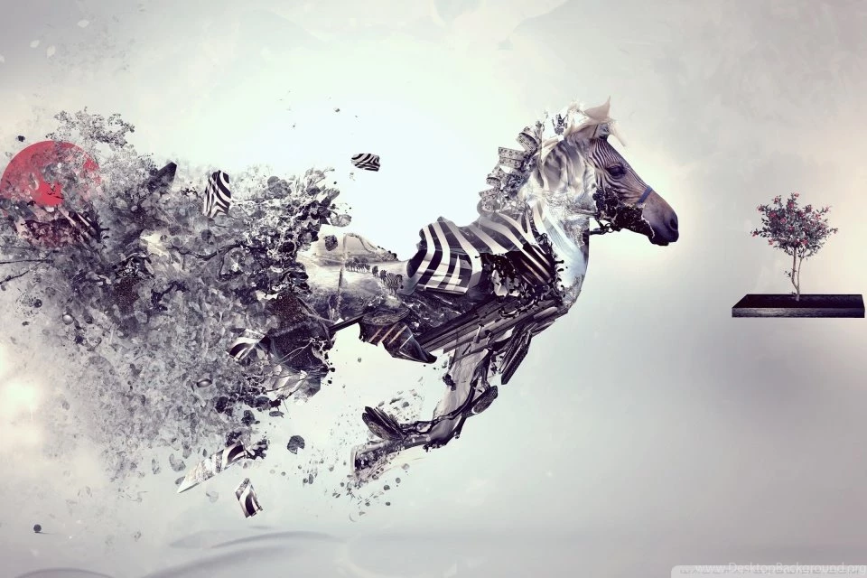 Abstract Zebra HD Desktop Wallpapers : High Definition : Fullscreen ...