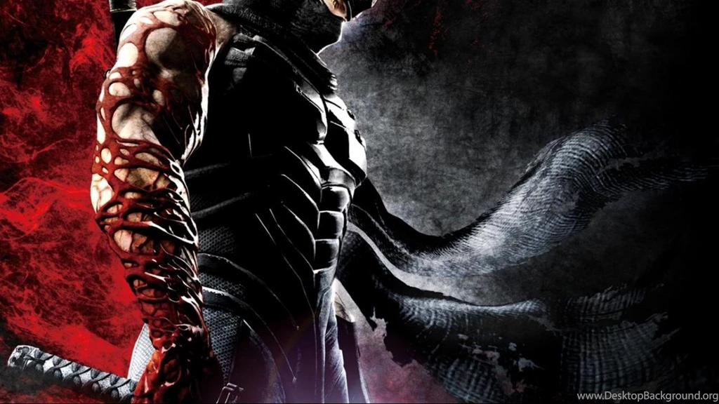 Ninja Gaiden 3 Wallpapers