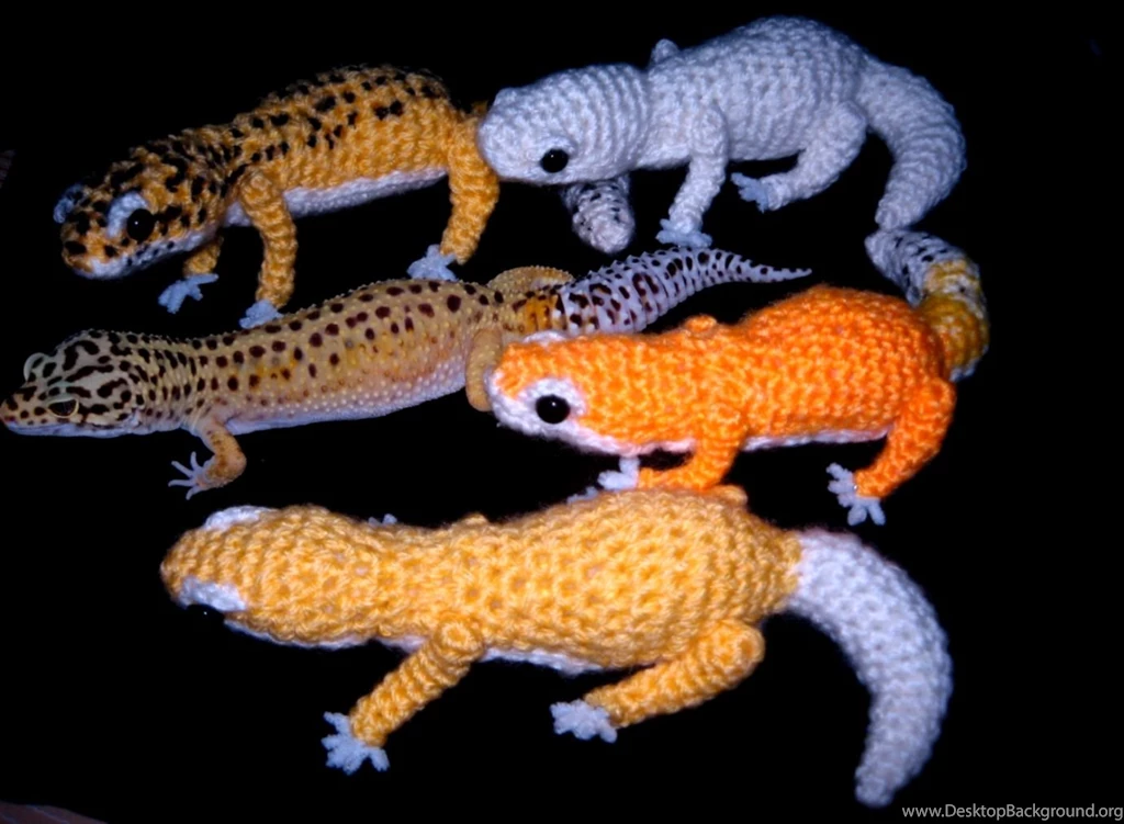 Cute Baby Leopard Gecko
