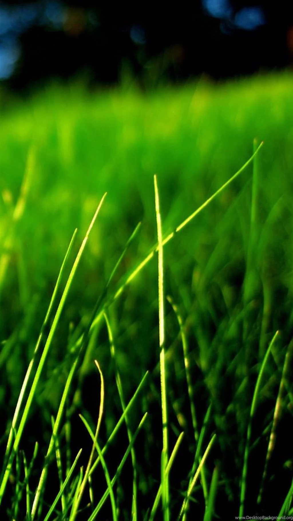 Nature LG G3 Wallpapers HD