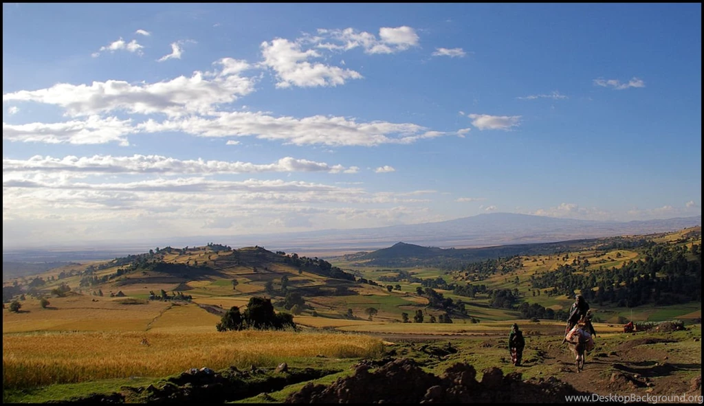 HD Ethiopia And The Guy In The Ass Wallpapers New Post Has Been ...