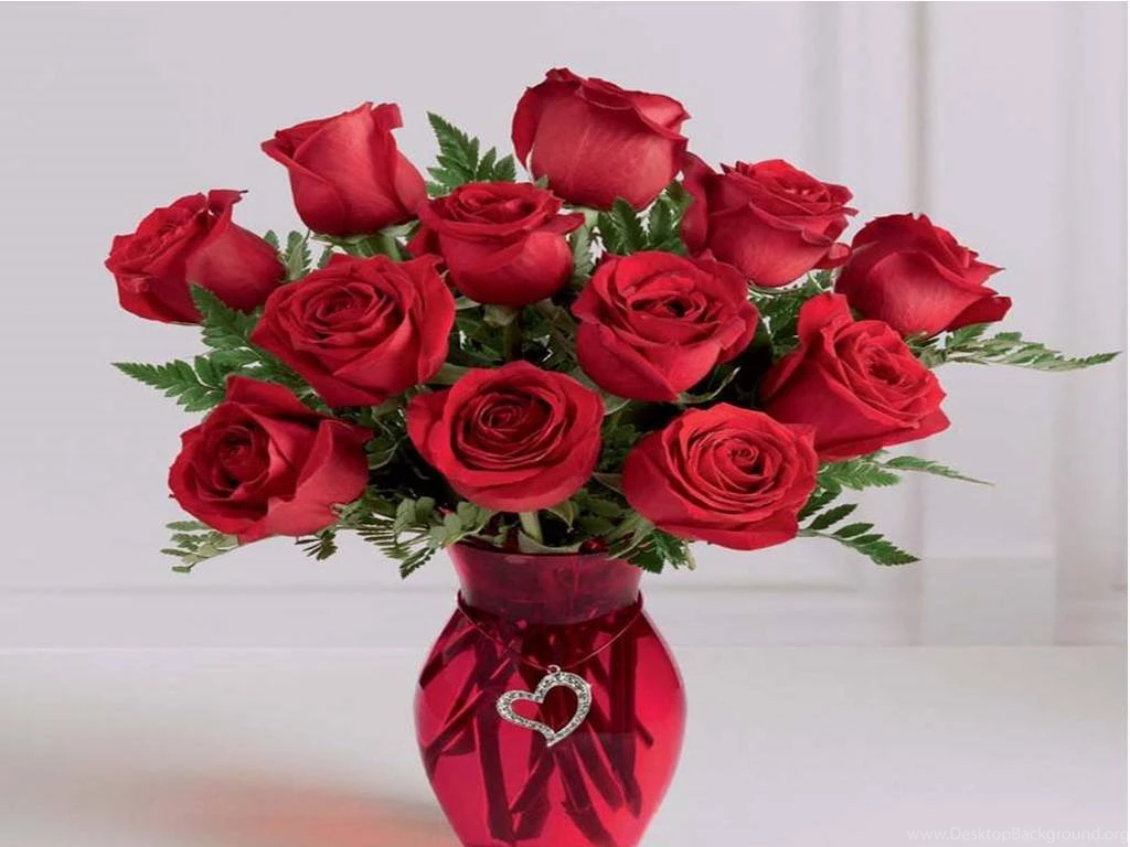 Only Red Roses High Quality Wallpapers