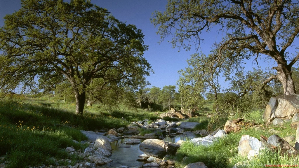 Incredible Nature Amazing Hd Wallpapers 8