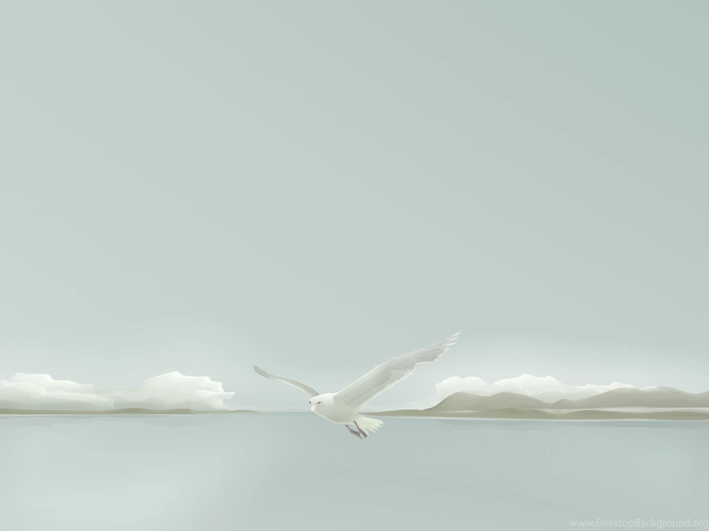 HD Dove Wallpapers And Photos