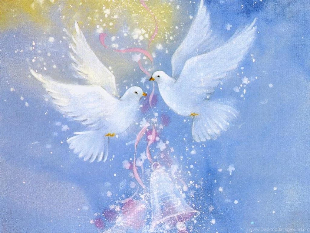 Doves Doves Wallpapers (38537874) Fanpop