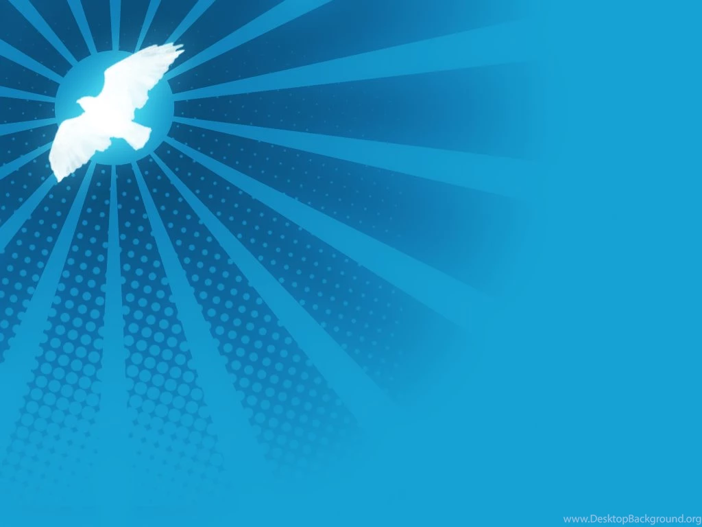 HD Dove Wallpapers And Photos