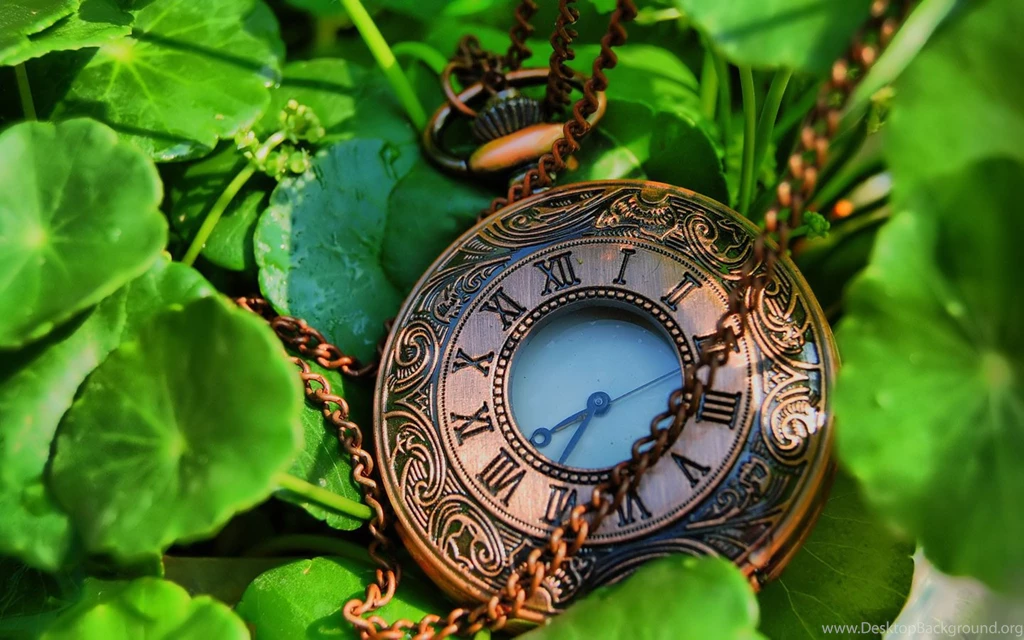 Watch Free Wallpapers For Desktop In HD Gallery