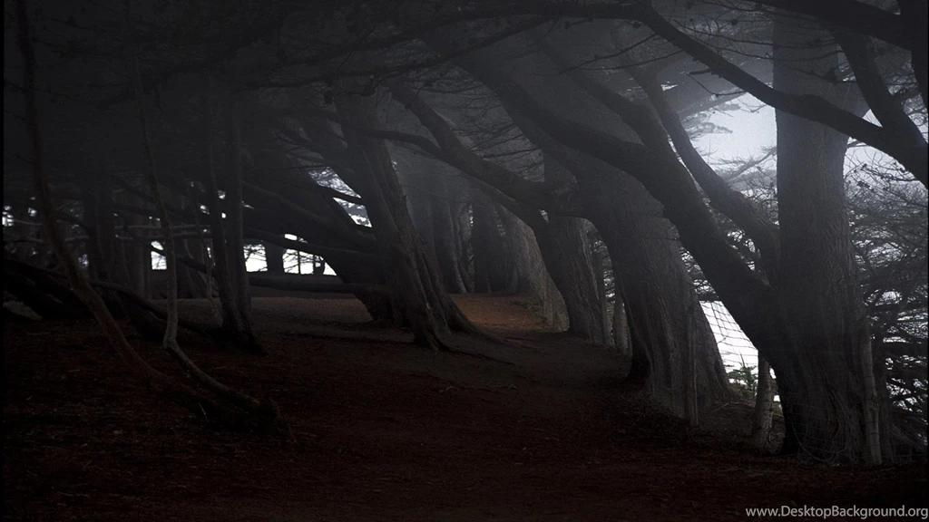 Download Wallpapers 2048x1152 Trees, Gloomy, Inclination, Darkness ...