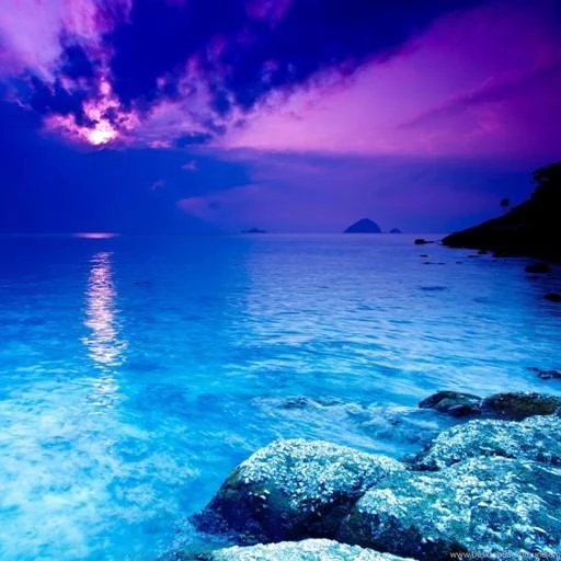 Night Beach Live Wallpapers Android Apps On Google Play