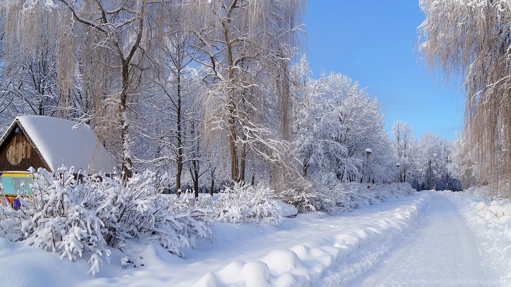 Top Snowy Cottage Cabin Tree Wallpapers
