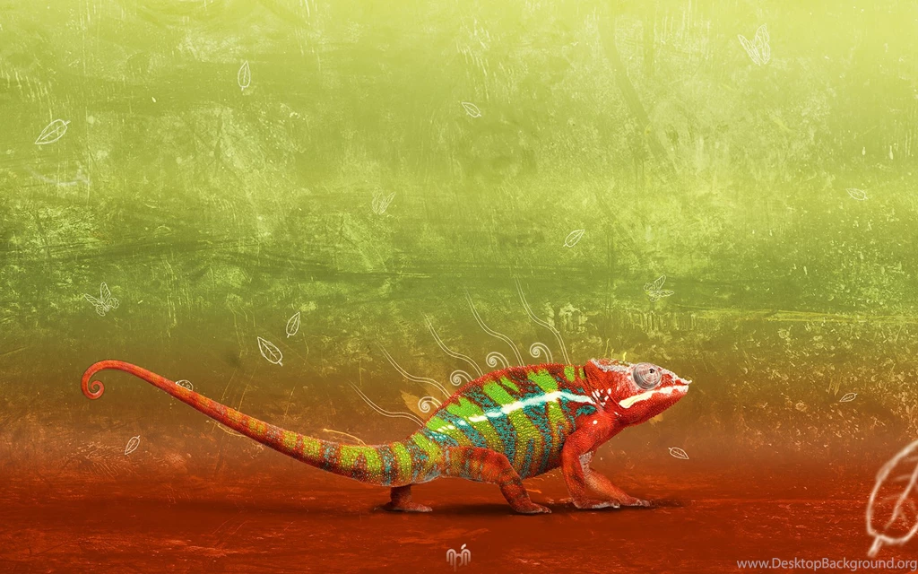 Full HD Wallpapers + Animals, By Fabian Warnke, Chameleons ...