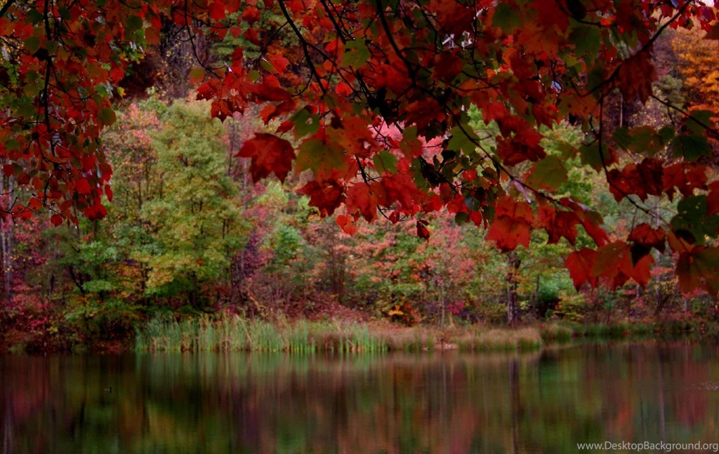 3d Fall Wallpapers Wallpapers Cave
