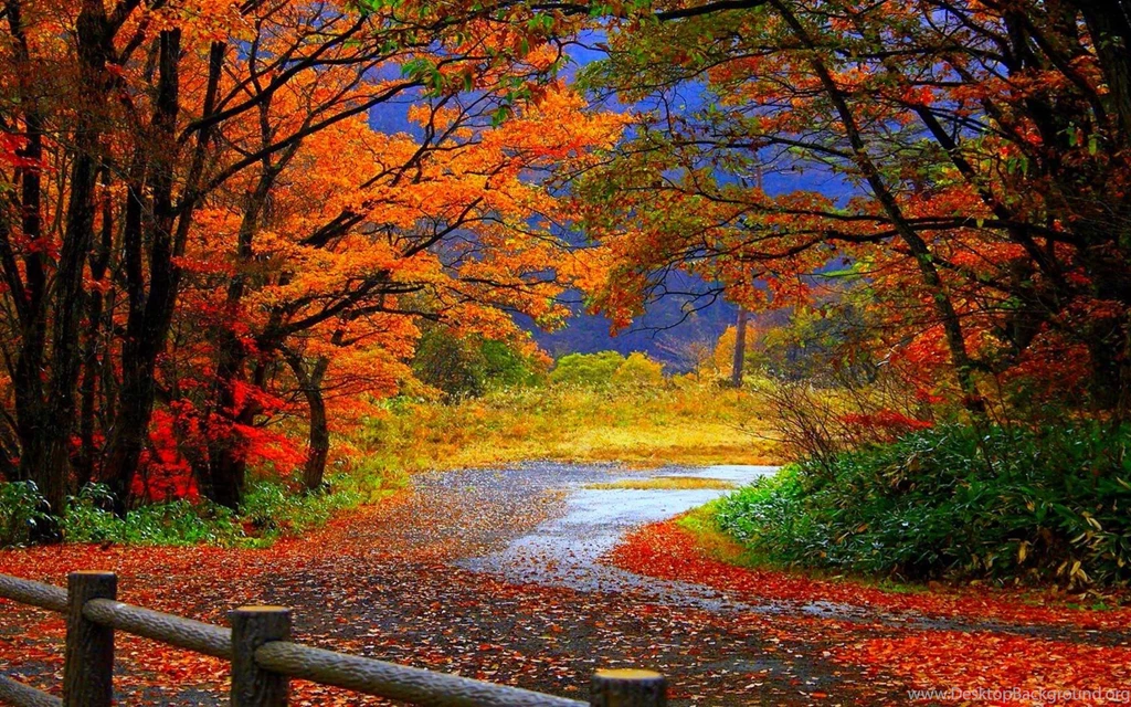 Beauty Autumn 3d Wallpapers Desktop.Wallpaperchanel.com