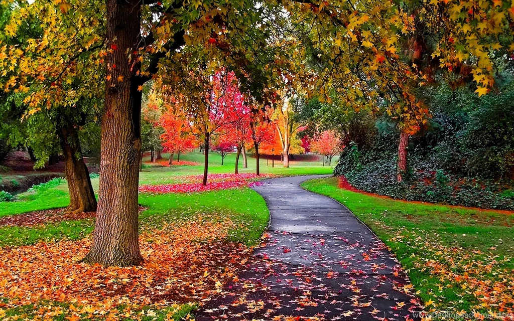 Fall Wallpapers 1fc HD Wallpapers
