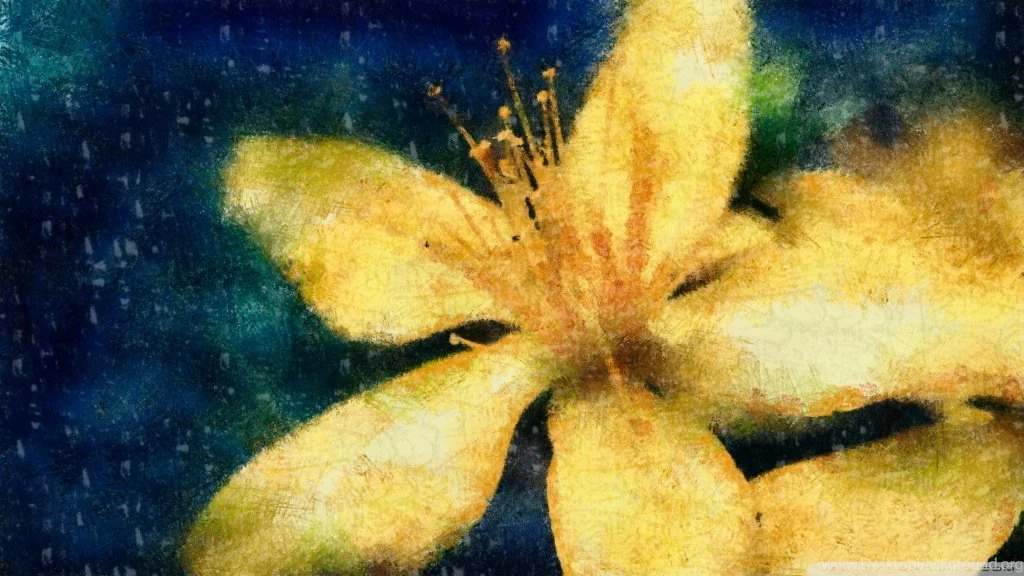Yellow Flower 3 Wallpapers DAP Chalk HD Desktop Wallpapers ...