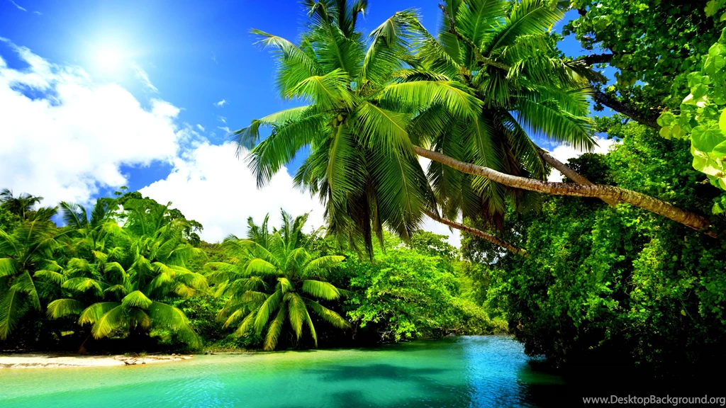Amazing Beach Under The Palms 3840x2160 4K 16/9 (Ultra HD, UHD ...