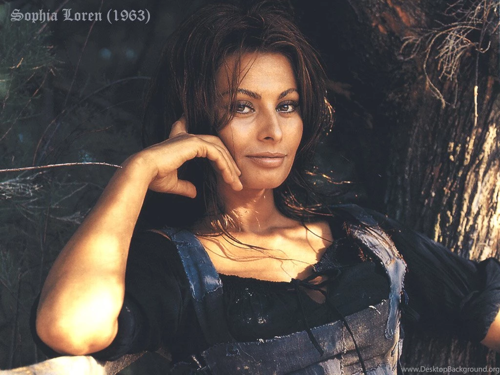 Wallpapers Sophia Loren 1024x768