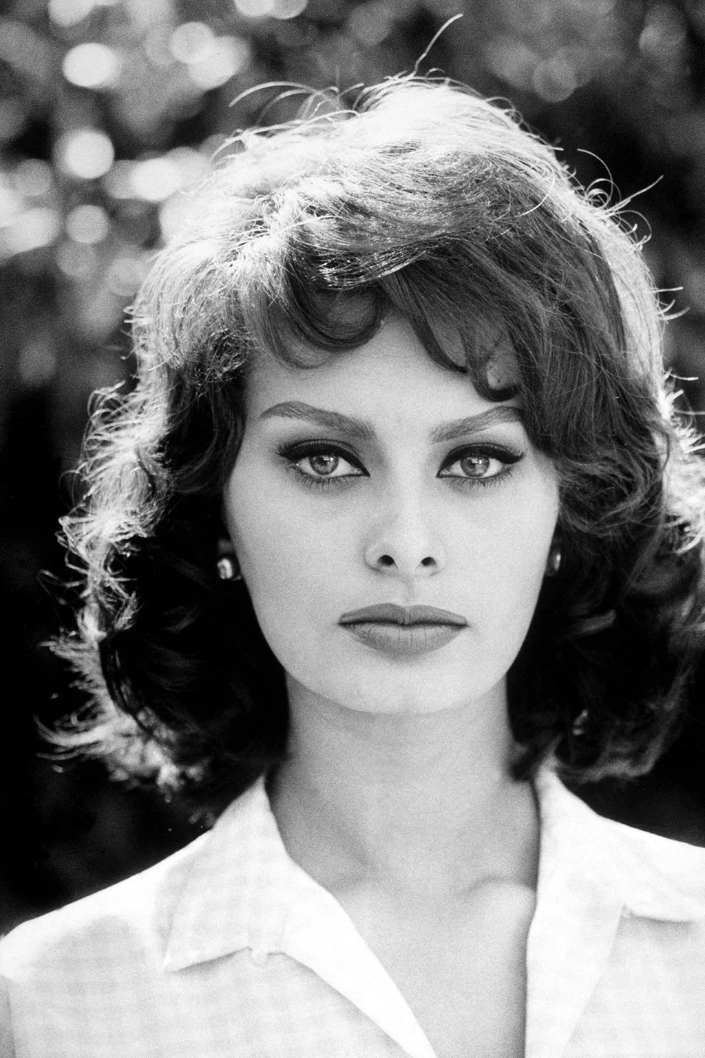 12 Quality Sophia Loren Wallpapers, Celebrity