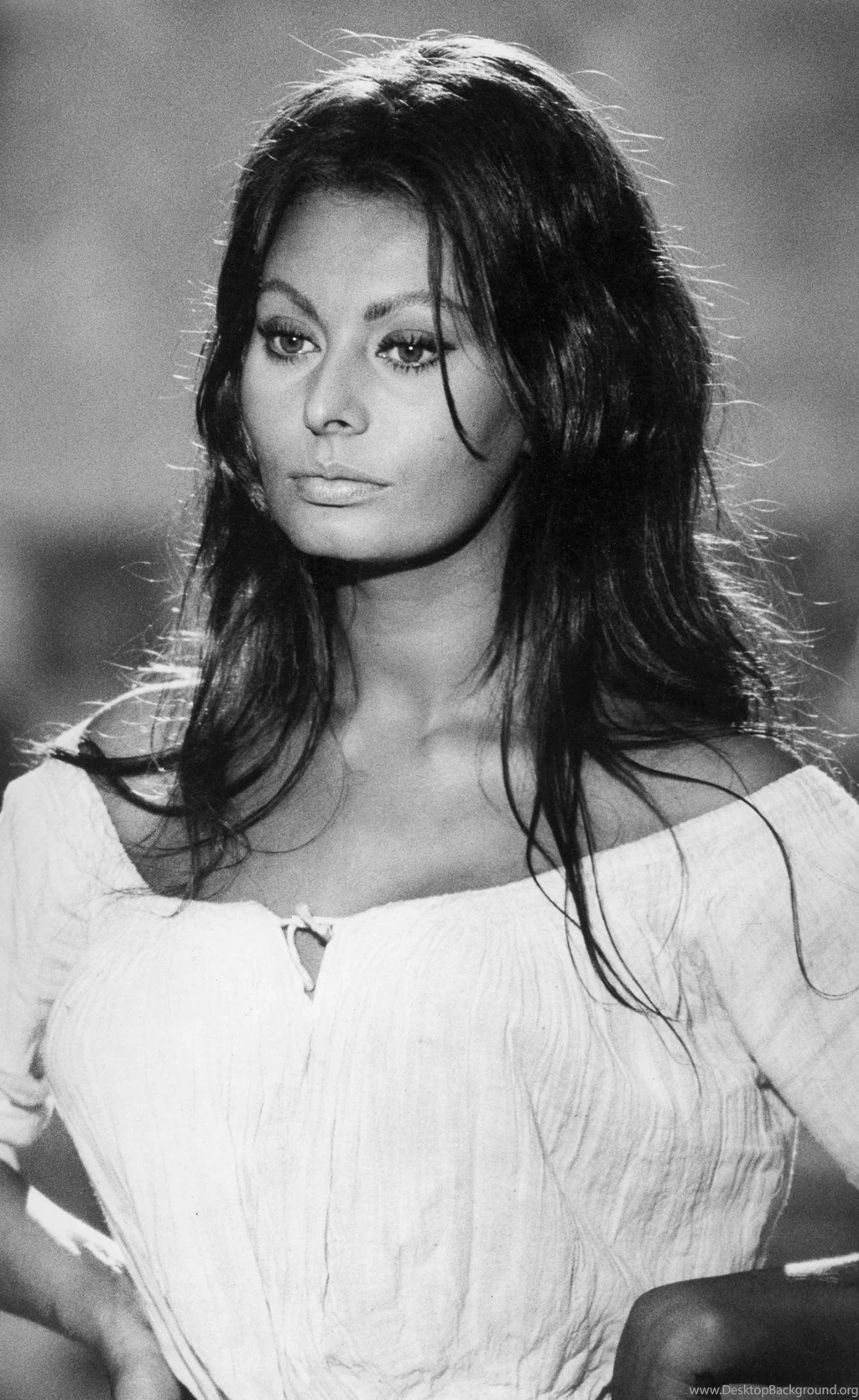 HD Sophia Loren Wallpapers And Photos