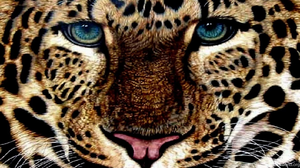 Leopard Wallpapers (