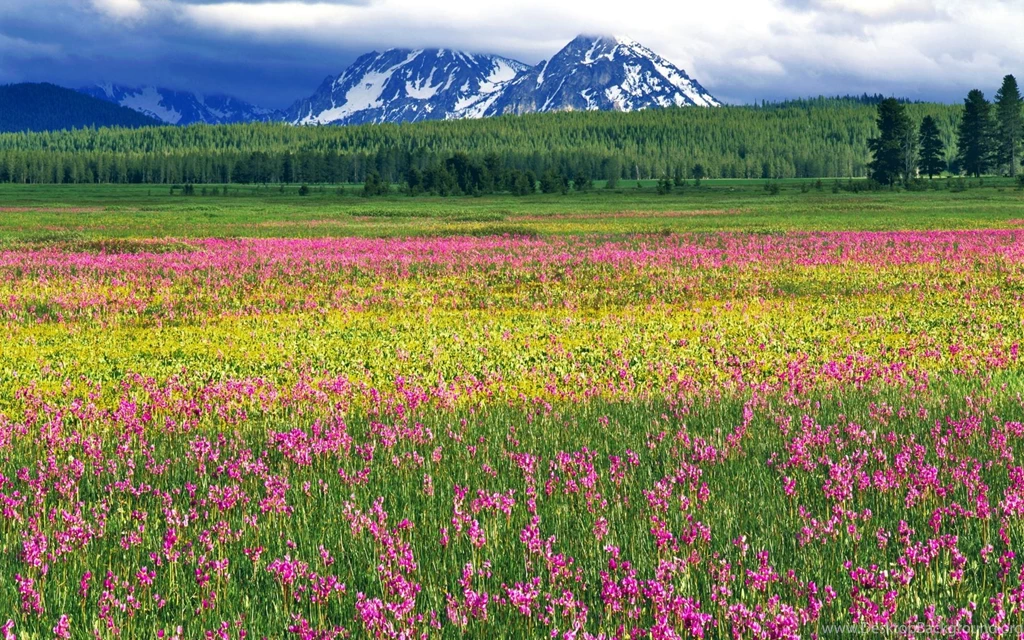 Idaho Sawtooth National Tourism Zone Wallpapers 1920x1200 ...