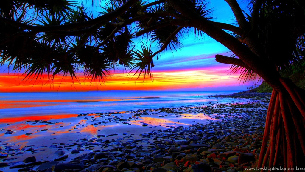 Palm On Beach Sunset Wallpapers