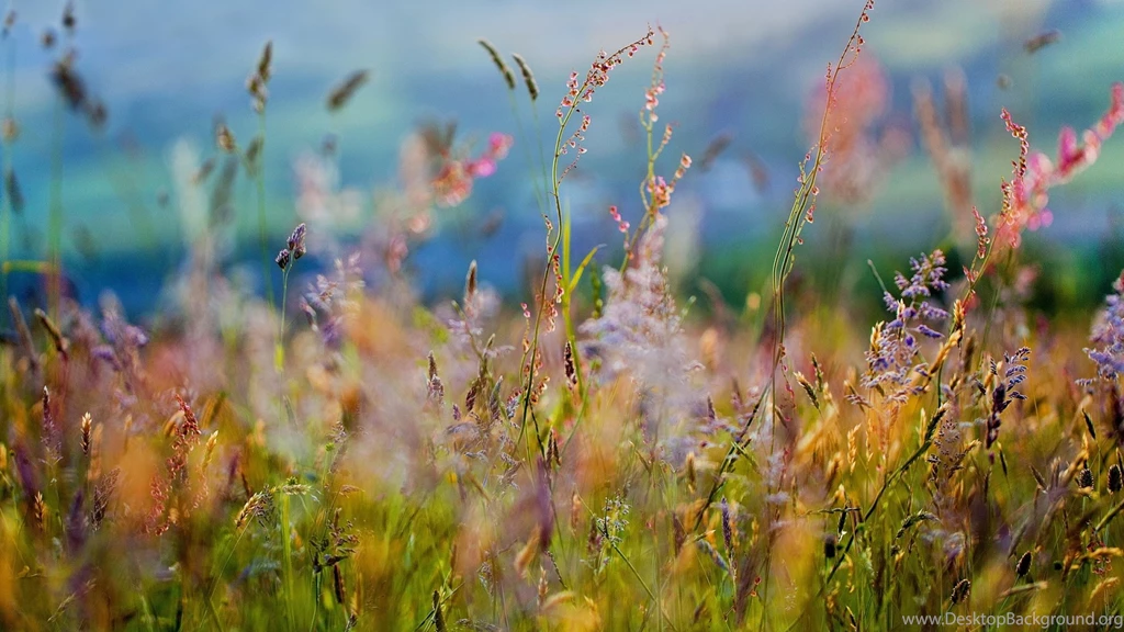 Download Wallpapers 1920x1080 Spots, Glare, Dim Full HD 1080p HD ...