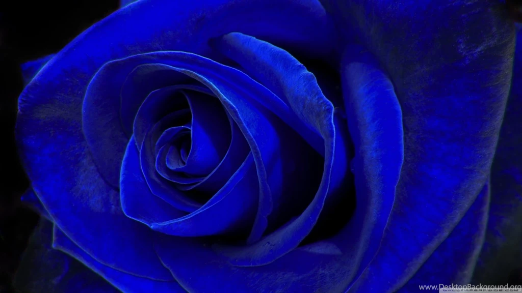 Blue Velvet HD Desktop Wallpapers : Widescreen : High Definition ...