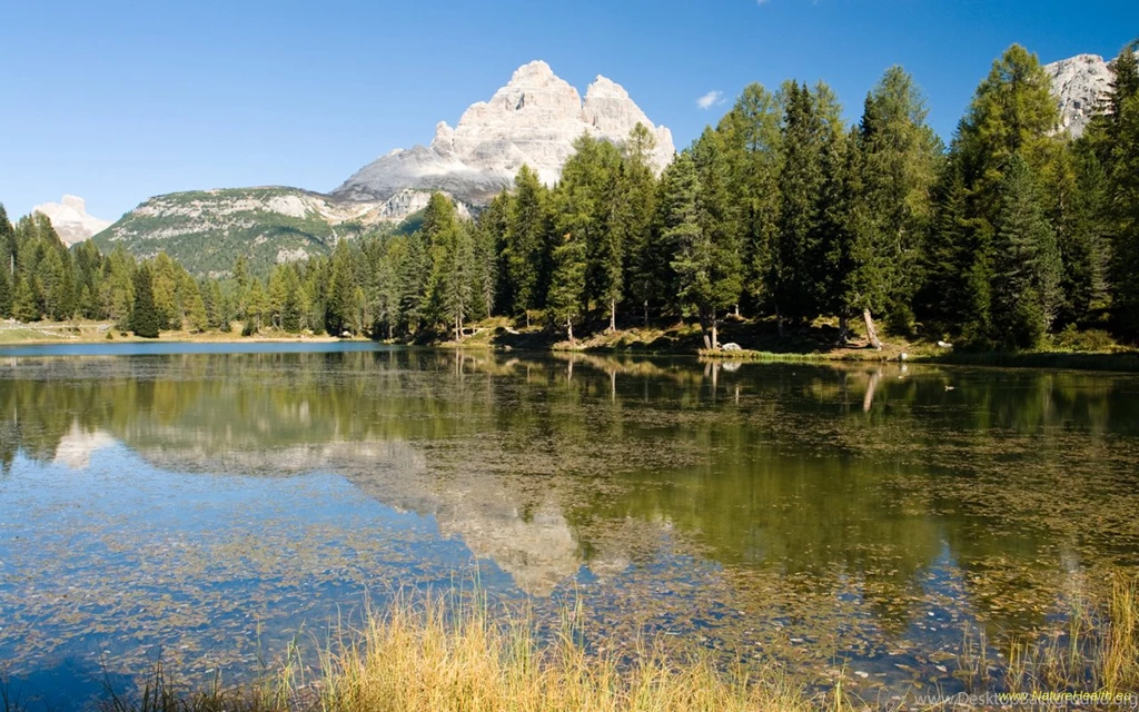 Nature Health Wallpapers