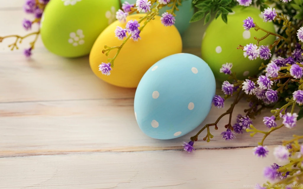 Flowers Images Hd Collection (39+)