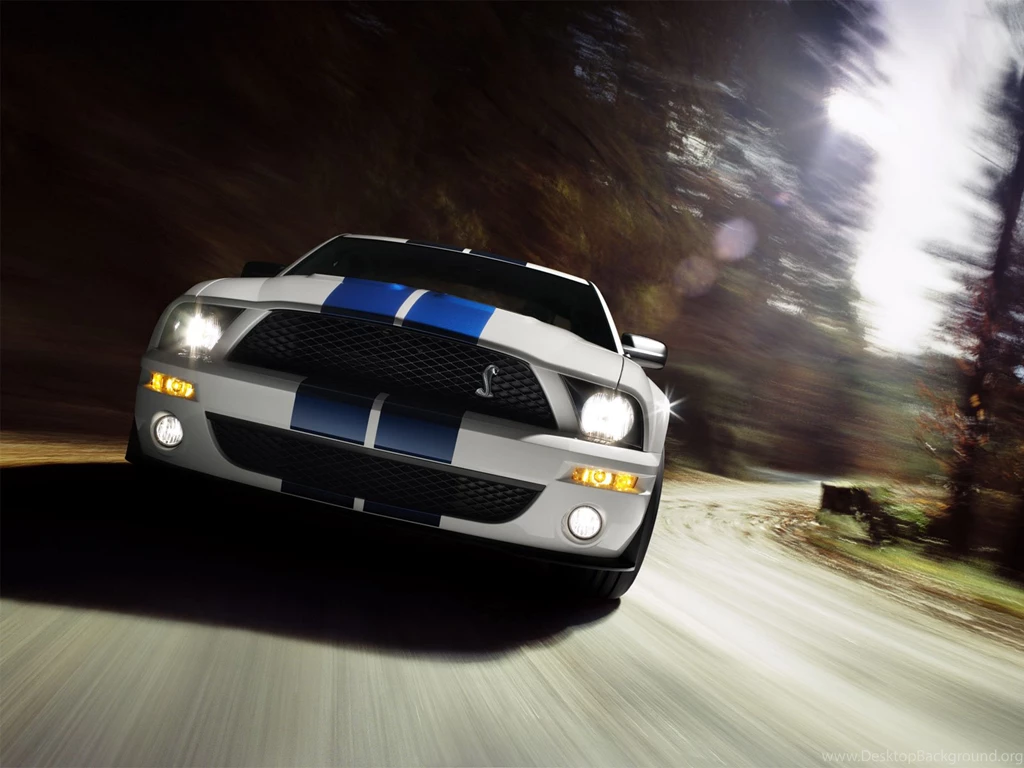 Ford Mustang Shelby Gt500 Ford Gt Wallpapers