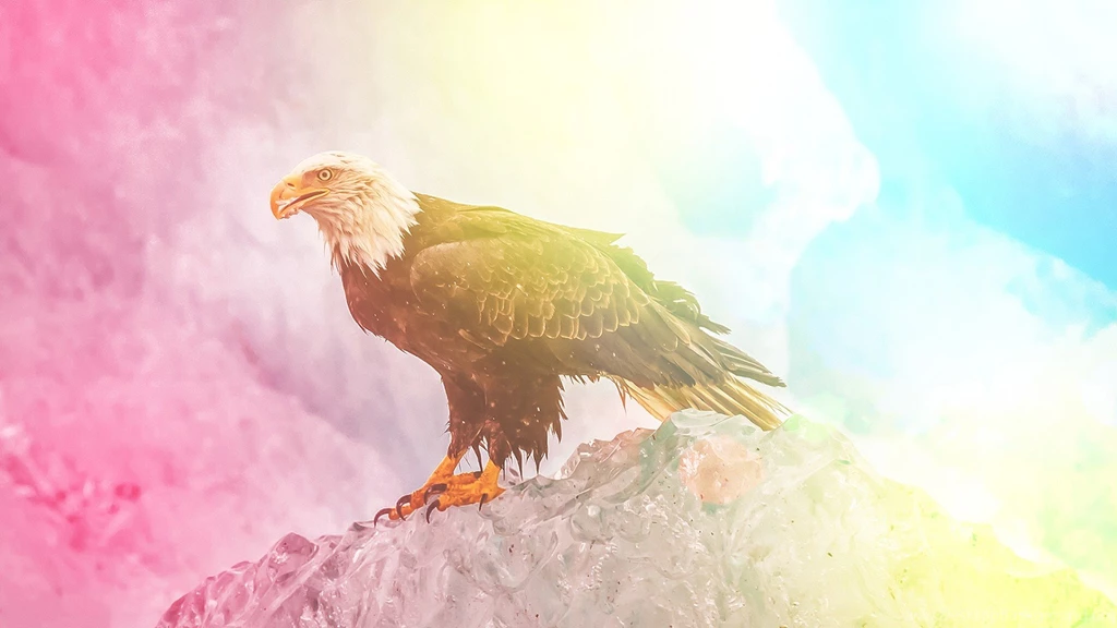 Colorful, Edited, Eagle, Animals, Wildlife, Bald Eagle Wallpapers ...